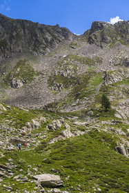 France, Alpes-Maritimes (06), parc national du Mercantour, Haute-Vésubie, Saint-Martin-Vésubie, Val du Haut Boréon, randonneurs sur le sentier allant au col du Pas des Ladres (en arrière plan au sommet)