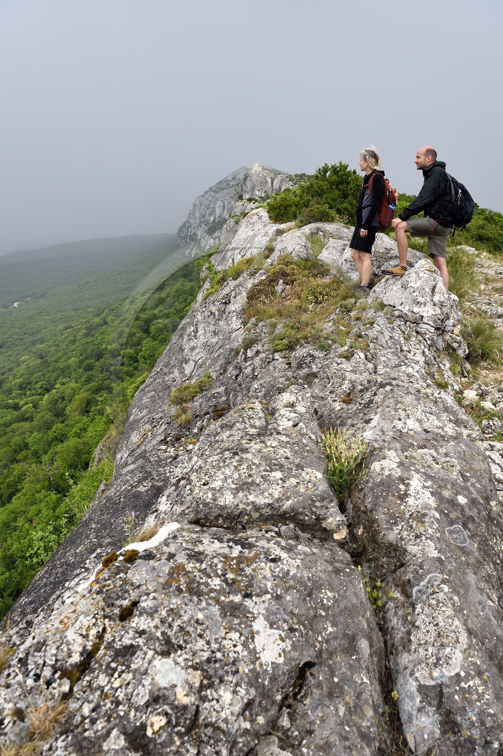 France, Var (83), Plan-d'Aups-Sainte-Baume, parc naturel régional de la Sainte-Baume, Massif de la Sainte-Baume, randonneurs sur le GR 98 au sommet de la falaise dominant la forêt relique et la chapelle du Saint-Pilon en arrière plan