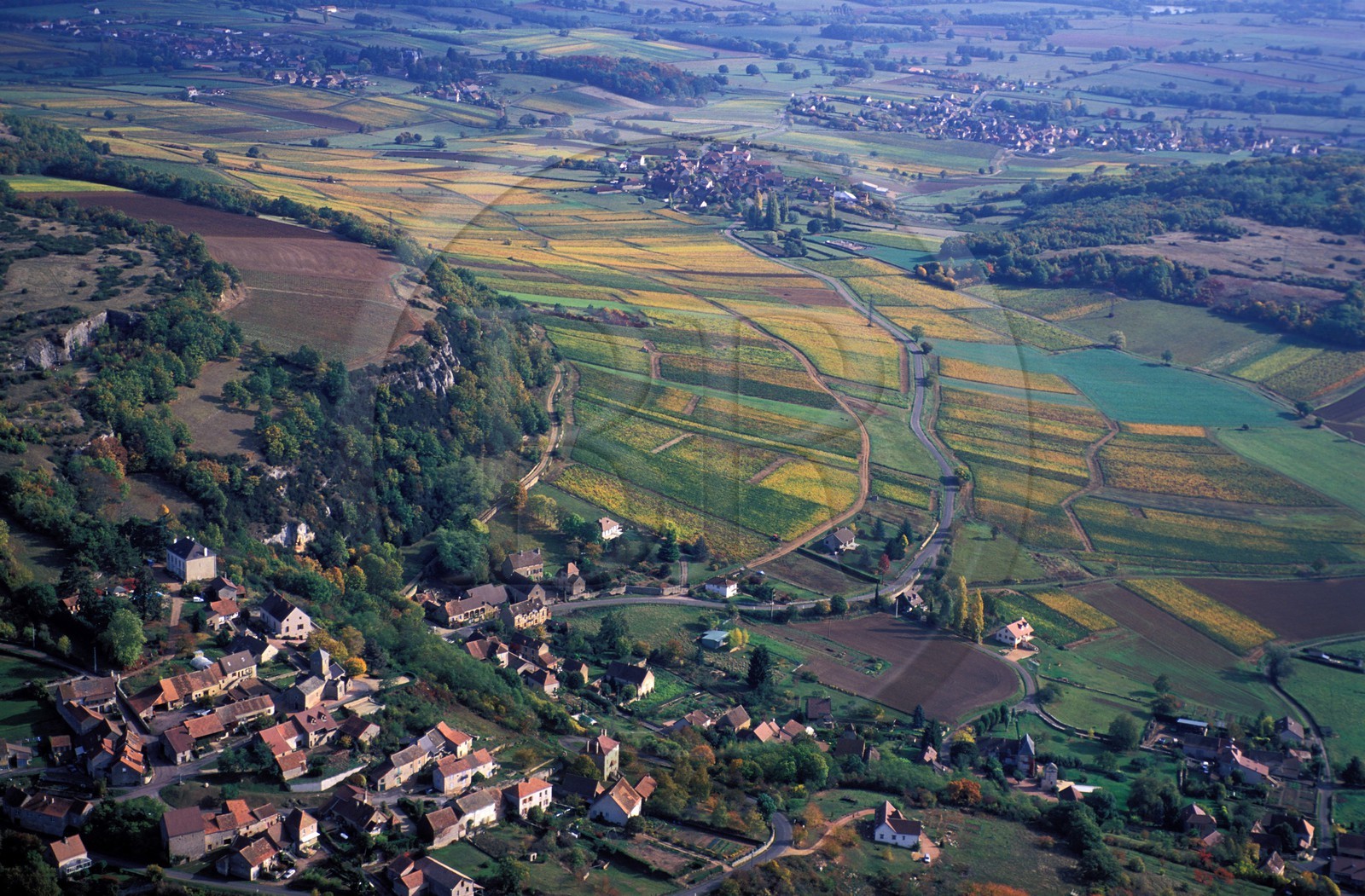 France, Saône-et-Loire (71), vignes du Chalonnais, village de Chenôves (vue aérienne)