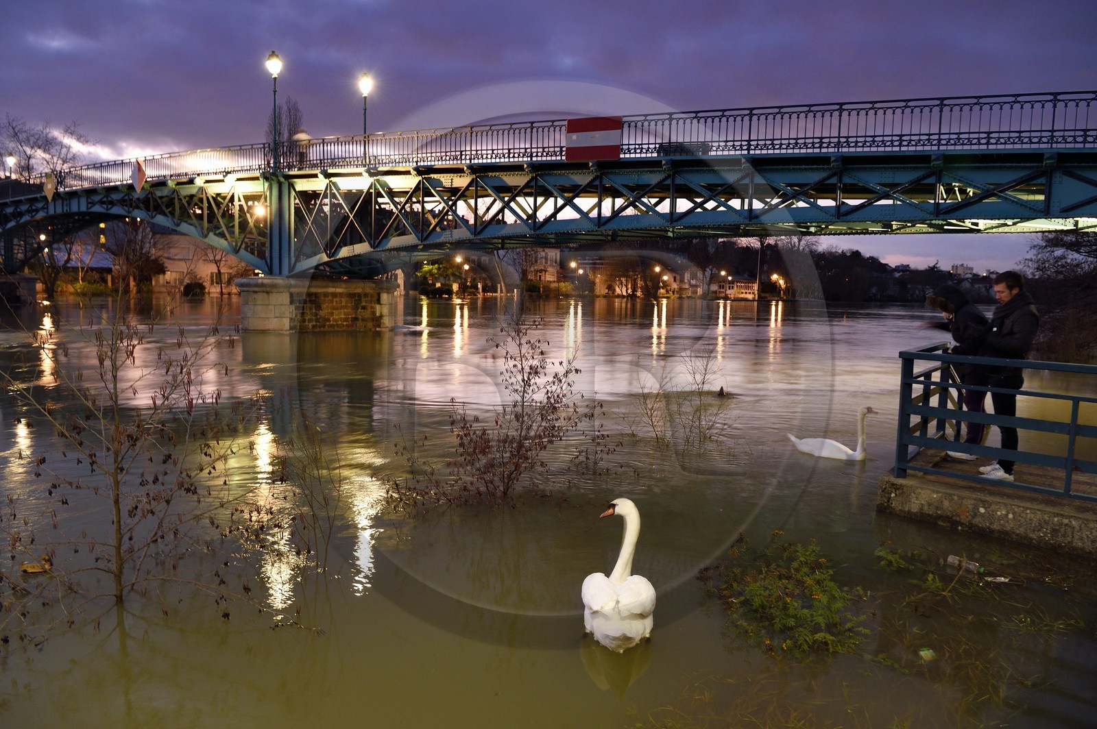 France, Val-de-Marne (94), Bry-sur-Marne, la passerelle réalisée par Gustave Eiffel entre Bry-sur-Marne et Le Perreux-sur-Marne en arrière plan, les bords de Marne inondés