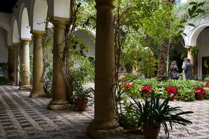 Espagne, Andalousie, Cordoue, Palais de Viana, patio d'accueil