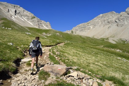 France, Alpes-de-Haute-Provence (04), Uvernet-Fours, parc national du Mercantour, vallée de l'Ubaye, col de la Cayolle (2326 m), sentier de randonnée qui grimpe à travers la pelouse alpine sur le circuit des lacs sous le sommet de la montagne du Trou de l’Aigle