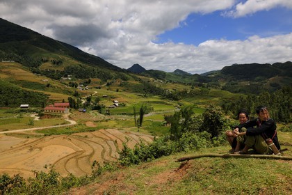 Vietnam, province de Lao Cai, région de Sapa, vallée de Ta Phin, culture de rizières en terrasses par la minorité Hmong Noir