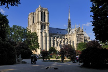France, Paris (75), île de la Cité, la cathédrale Notre-Dame depuis le square René Viviani