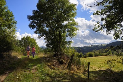 France, Haute-Loire (43), Le Cros de Lafarre, randonneuses sur un chemin du plateau du Vivarais-Vellave qui domine la vallée de la Loire