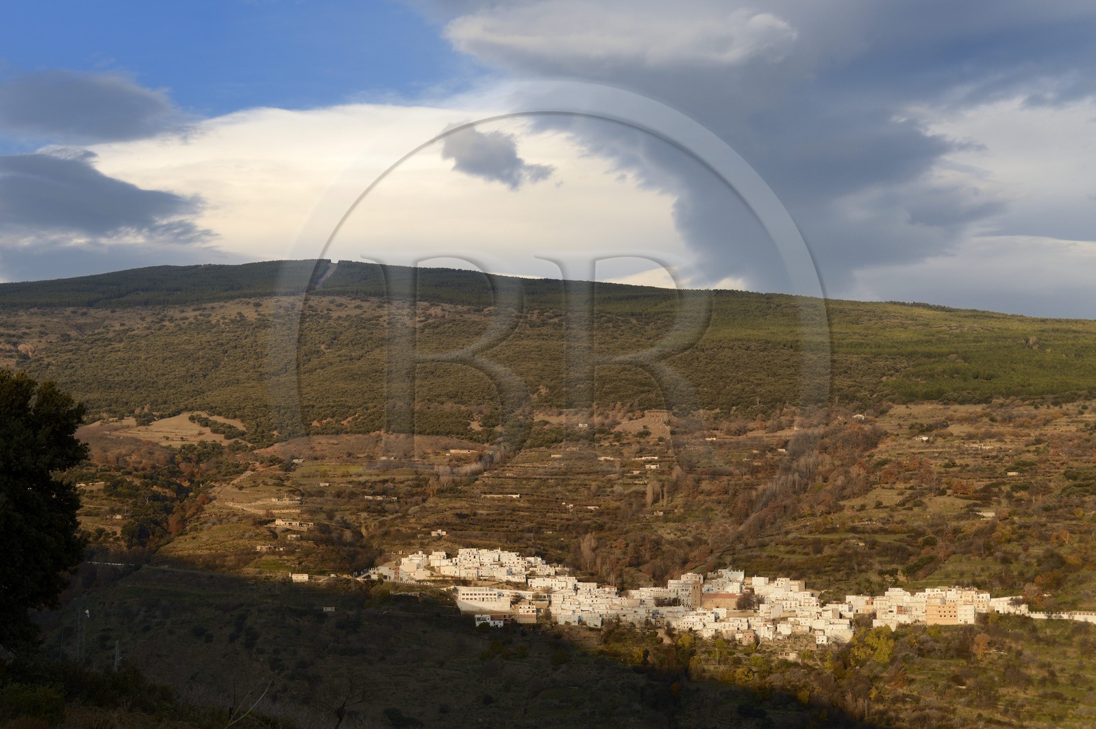 Espagne, Andalousie, province de Grenade, village de Bayarcal dans la region des Alpujarras