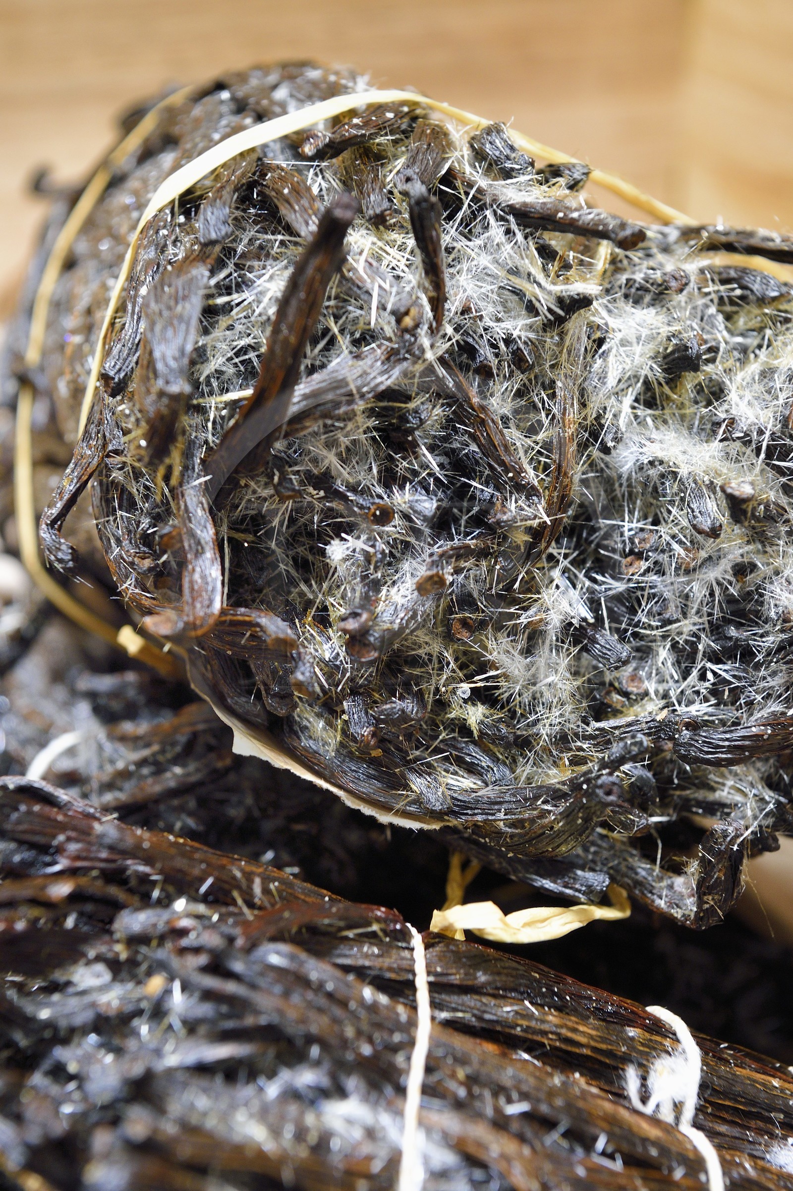 France, Ile de la Reunion, Saint-Louis, Domaine de Bellevue, producteur de vanille biologique cultivée sous des panneaux photovoltaïques, gousses de vanille Planifolia cristallisée avec 24 mois d'affinage minimum