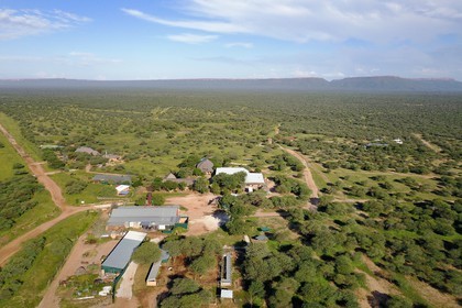 Namibie, Otjiwarongo, Cheetah Conservation Fund, centre de recherche et d'