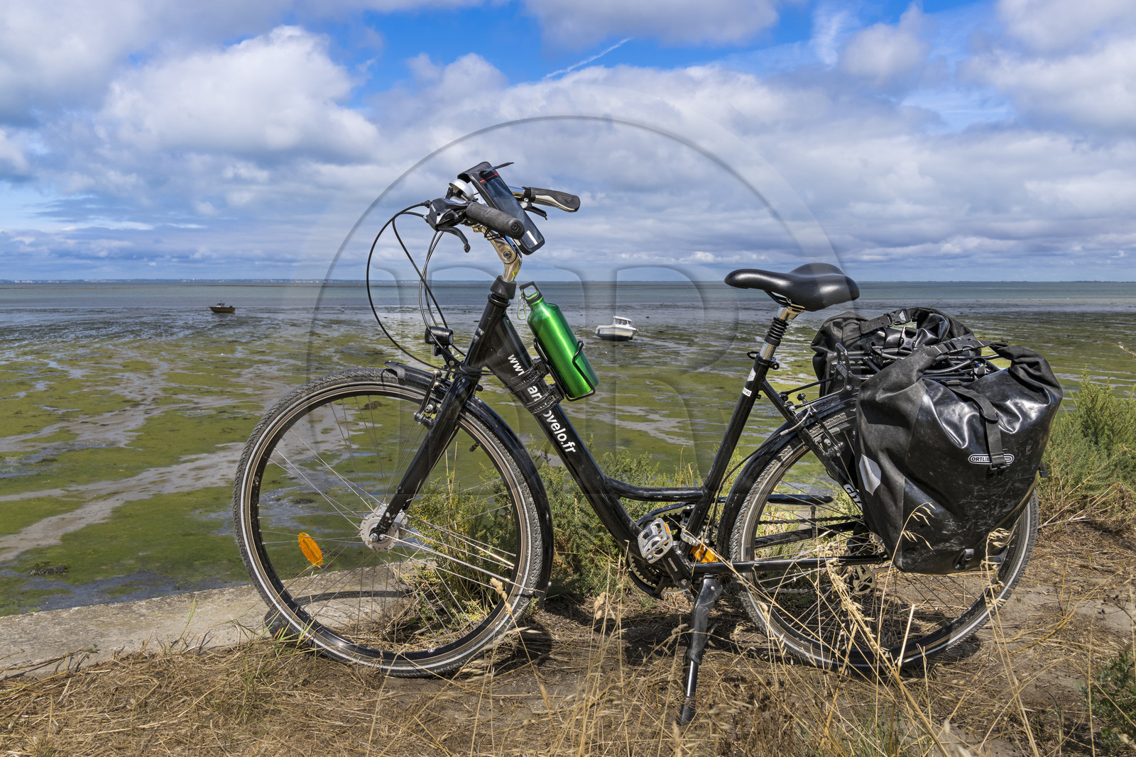 France, Vendée (85), île de Noirmoutier, La Guérinière, vélo de randonnée sur la piste cyclable qui suit la digue entre le Port de Bonhomme et le passage du Gois