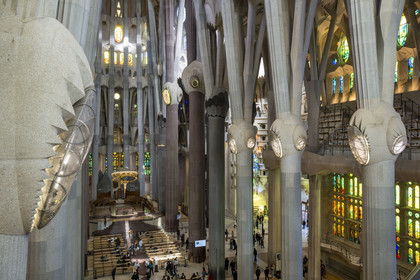 Espagne, Catalogne, Barcelone, quartier de l'Eixample, basilique de la Sagrada Familia de l'architecte du modernisme catalan Antoni Gaudi classée Patrimoine Mondial de l'UNESCO, au dessus du noeud, les colonnes du vaisseau central (nef) se subdivisent en branches tel un arbre