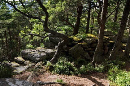 France, Bas-Rhin (67), le Mont Saint-Odile, le mur païen