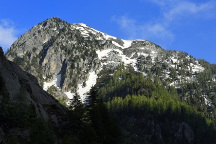 France, Alpes-Maritimes (06), parc national du Mercantour, Haute-Vésubie, vallon de la Gordolasque