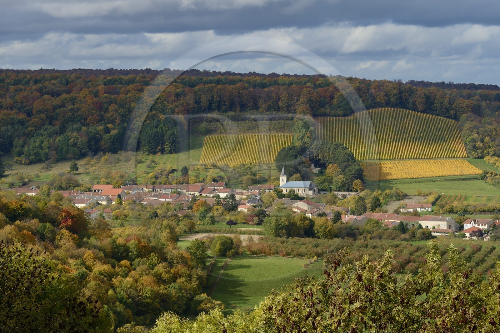 France, Meuse (55), Parc régional de Lorraine, Cotes de Meuse, le village de Viéville-sous-les-Côtes au pied d'un vignoble