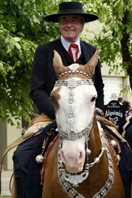 Argentine, province de Buenos Aires, San Antonio de Areco, fête du Jour de la Tradition (Dia de la Tradicion), travail d'orfèvre sur un harnais en argent utilisé lors de grandes occasions par un     estanciero (gaucho propriétaire d'un ranch)