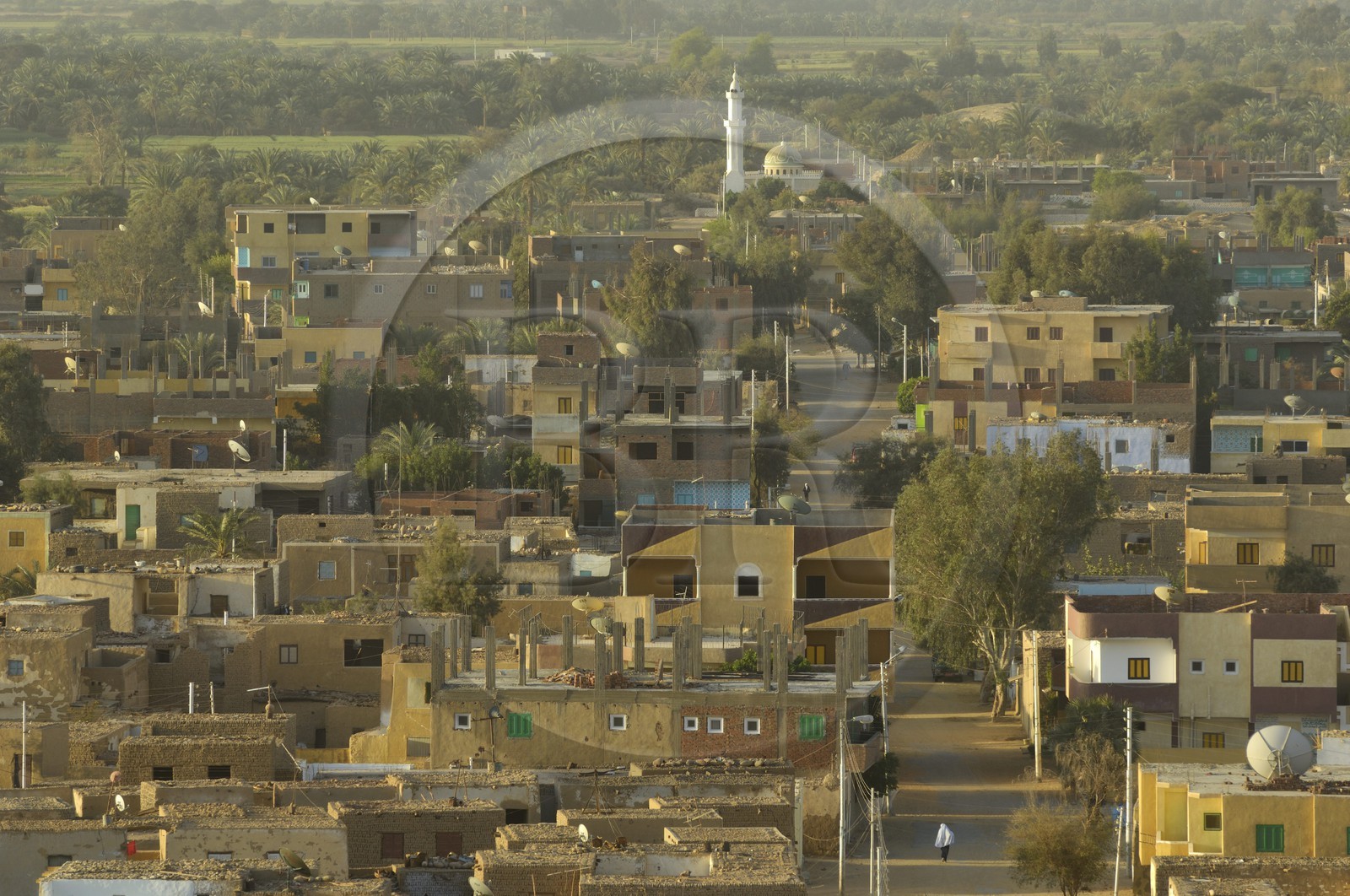 Egypte, Haute Egypte, désert libyque, oasis de Dakhla, village de Al-Qasr