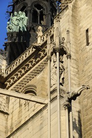 France, Paris (75), Ile de la Cité, cathédrale Notre-Dame de Paris, gargouilles de la façade nord et Statues des Apôtres et l’Ange, symbole de Saint Matthieu l’évangéliste