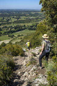 France, Vaucluse (84), Dentelles de Montmirail, Beaumes-de-Venise, randonneurs descendant du plateau des Courens et la plaine en arrière plan