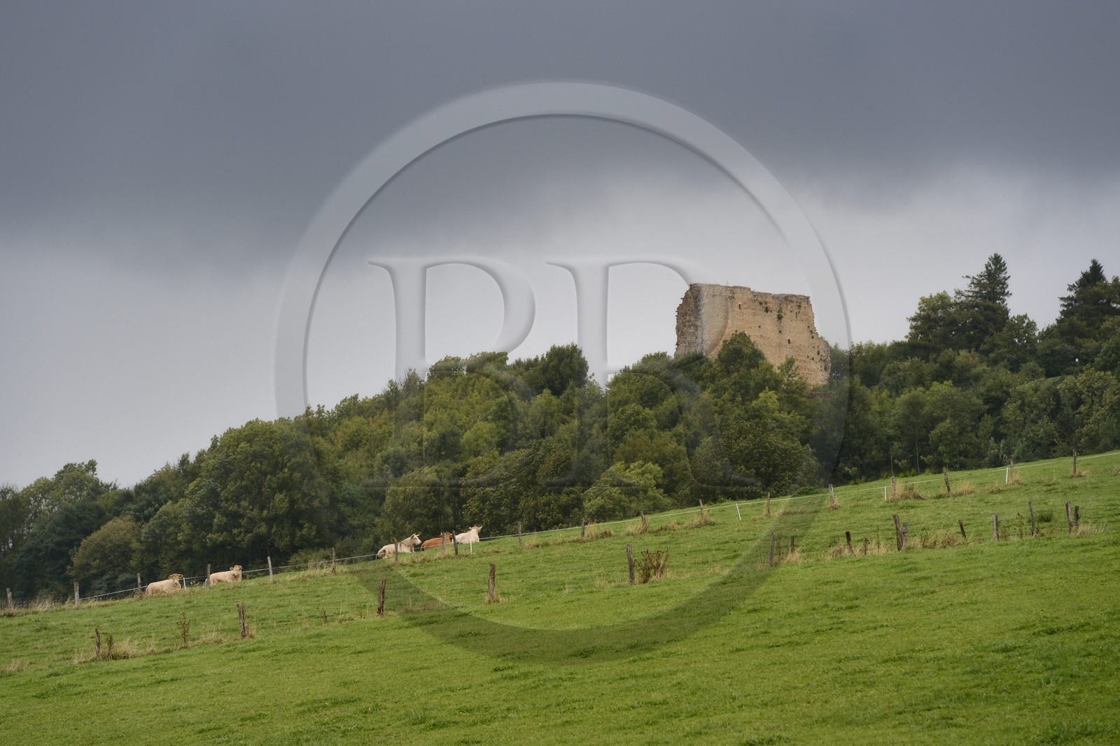 France, Meurthe-et-Moselle (54), pays du Saintois, colline de Sion-Vaudémont, vestiges du donjon aussi appelé la Tour de Brunehault à Vaudémont