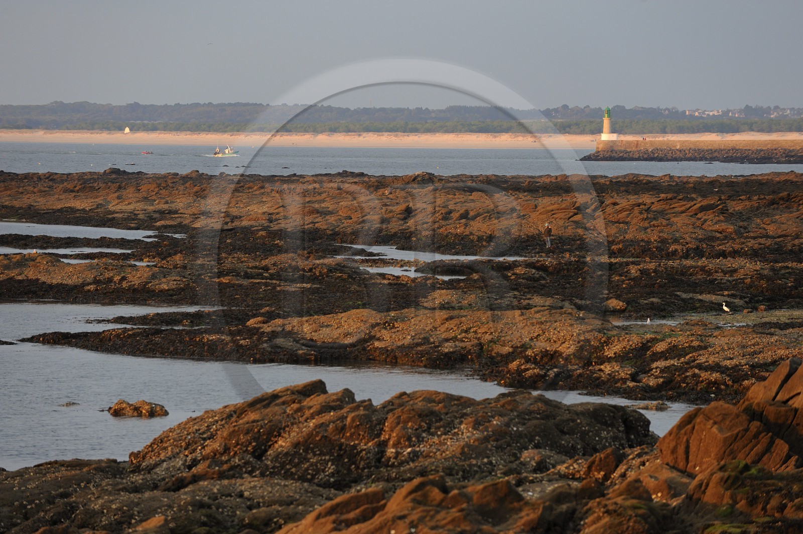 France, Loire-Atlantique (44), Le Croisic, la côte sauvage