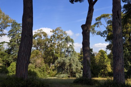 France, Alpes-Maritimes (06), Antibes, Jardin botanique de la Villa Thuret