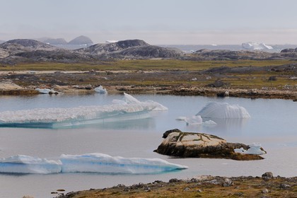 Groenland, fjord de Nanortalik au sud du pays, icebergs