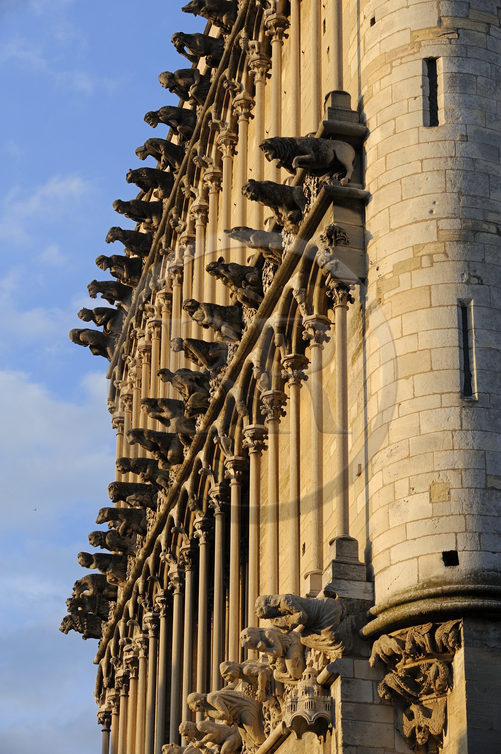 France, Côte d'Or (21), Dijon, l'église Notre-Dame (1230-1250), triple rangées de fausses gargouilles en façade
