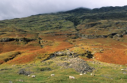 Royaume-Uni, Ecosse, région des Highlands, la vallée de Glencoe (massacre des Mac Donald par les Campbell)