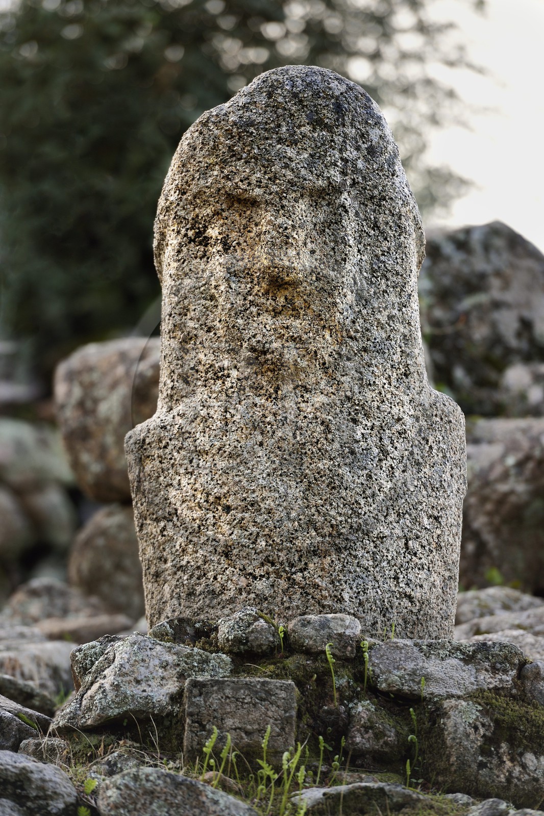 France, Corse-du-Sud (2A), site préhistorique de Filitosa, les menhirs du 4ème millénaire avant notre ère ont été retravaillés en statues-menhirs aux alentours de -1200 Av. J.C.