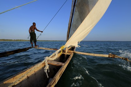 Tanzanie, archipel de Zanzibar, île de Unguja (Zanzibar), côte est, baie de Chwaka vers Michamvi, un dhow (boutre traditionnel)