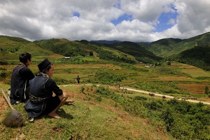 Vietnam, province de Lao Cai, région de Sapa, vallée de Ta Phin, la minorité Hmong Noir