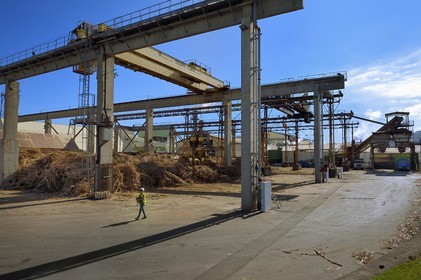 France, Ile de la Reunion, Saint-Louis, l'usine sucrière du Gol, site du transfert de la canne à sucre vers l'usine