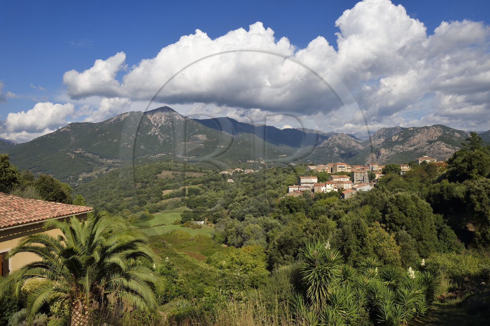 France, Corse-du-Sud (2A), Vallée du Prunelli, Eccica-Suarella, les gorges du Prunelli en arrière plan à droite