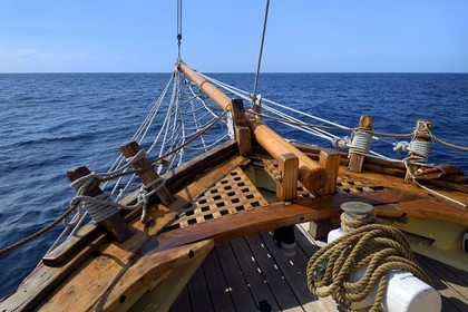 France, Alpes-Maritimes (06), Saint-Jean-Cap-Ferrat, sortie en mer sur le bateau Santo Sospir avec l'association SOS Grand Bleu pour l'observation des dauphins et des baleines dans le Sanctuaire Pelagos