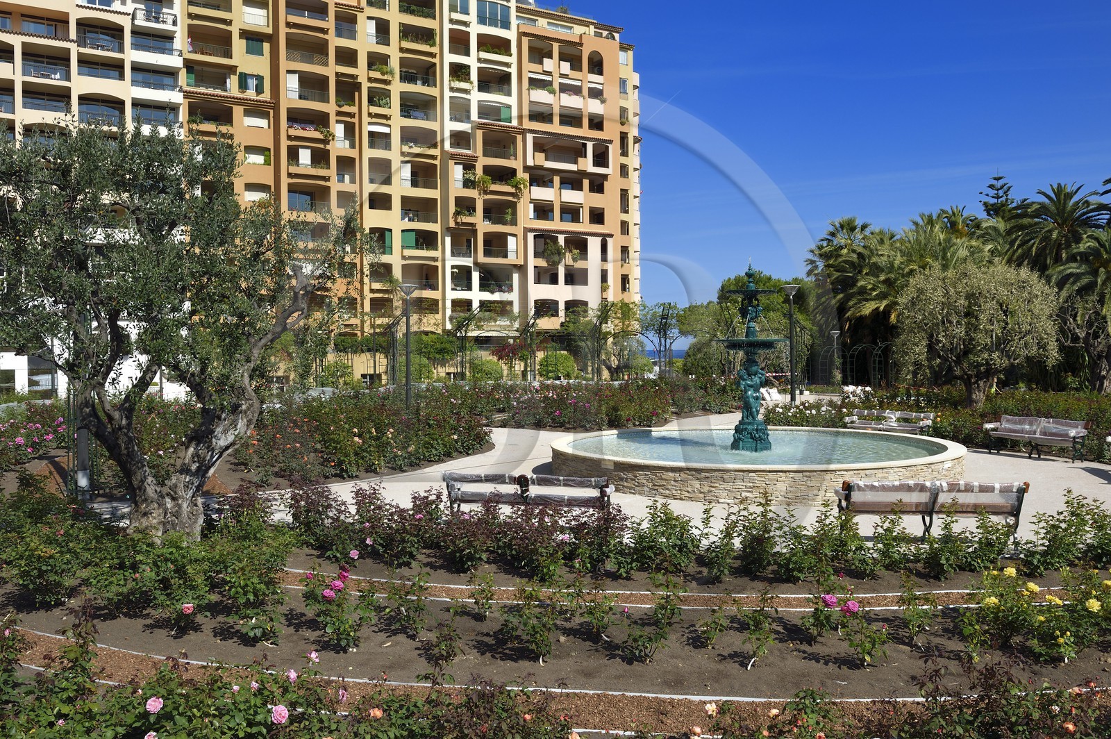 Principauté de Monaco, Fontvieille, la roseraie Princesse Grace