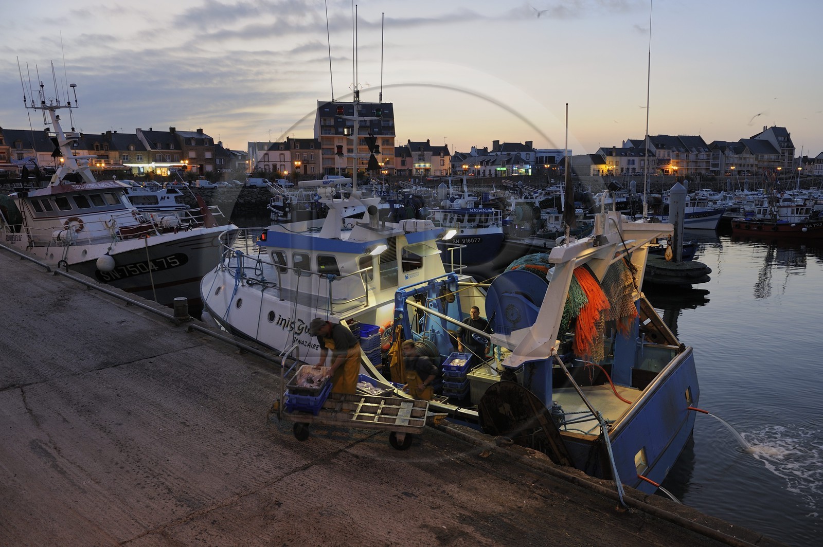 France, Loire-Atlantique (44),  port de La Turballe, retour de pêche au petit matin