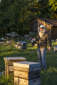 France, Hérault (34), les Causses et les Cévennes, paysage culturel de l'agro-pastoralisme méditerranéen inscrit au Patrimoine Mondial de l'UNESCO, La Vacquerie-et-Saint-Martin-de-Castries, maison d’hotes Les Faïsses, Jean-Louis Perez est aussi apiculteur