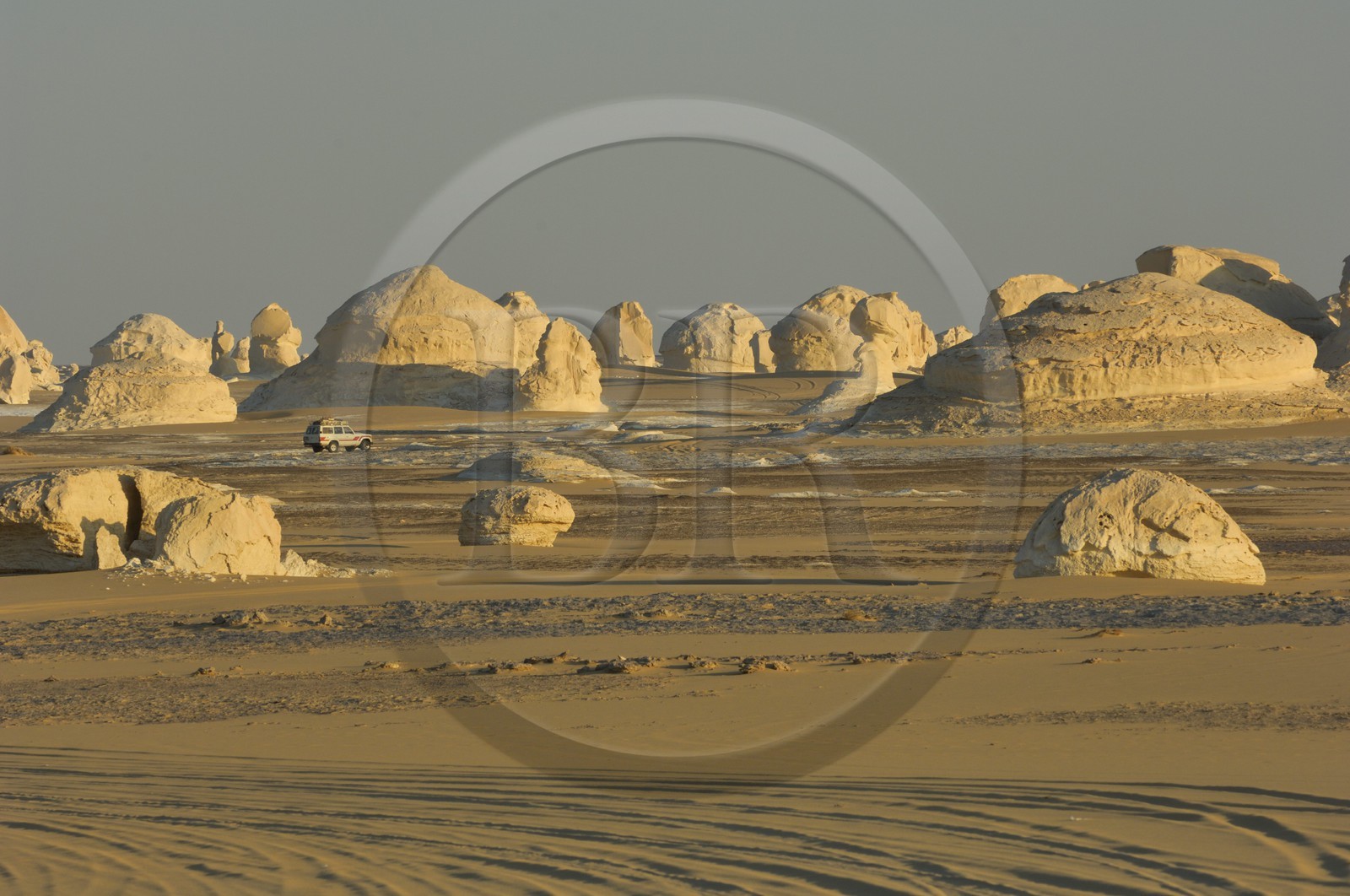 Egypte, désert libyque, le Désert Blanc au nord de Farafra