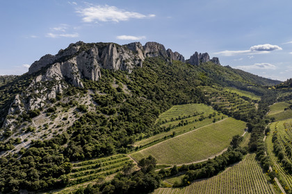 France, Vaucluse (84), Dentelles de Montmirail, la montagne des Dentelles Sarrasines et des vignobles en restanques (vue aérienne)