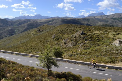 France, Haute-Corse (2B), Balagne, cycliste au col de Colombano sur la N197