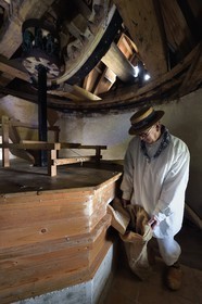 France, Var (83), Presqu'Ile de Saint-Tropez, Ramatuelle, moulin à vent de Paillas, Pierre Falcou, un des meuniers bénévole et amateur