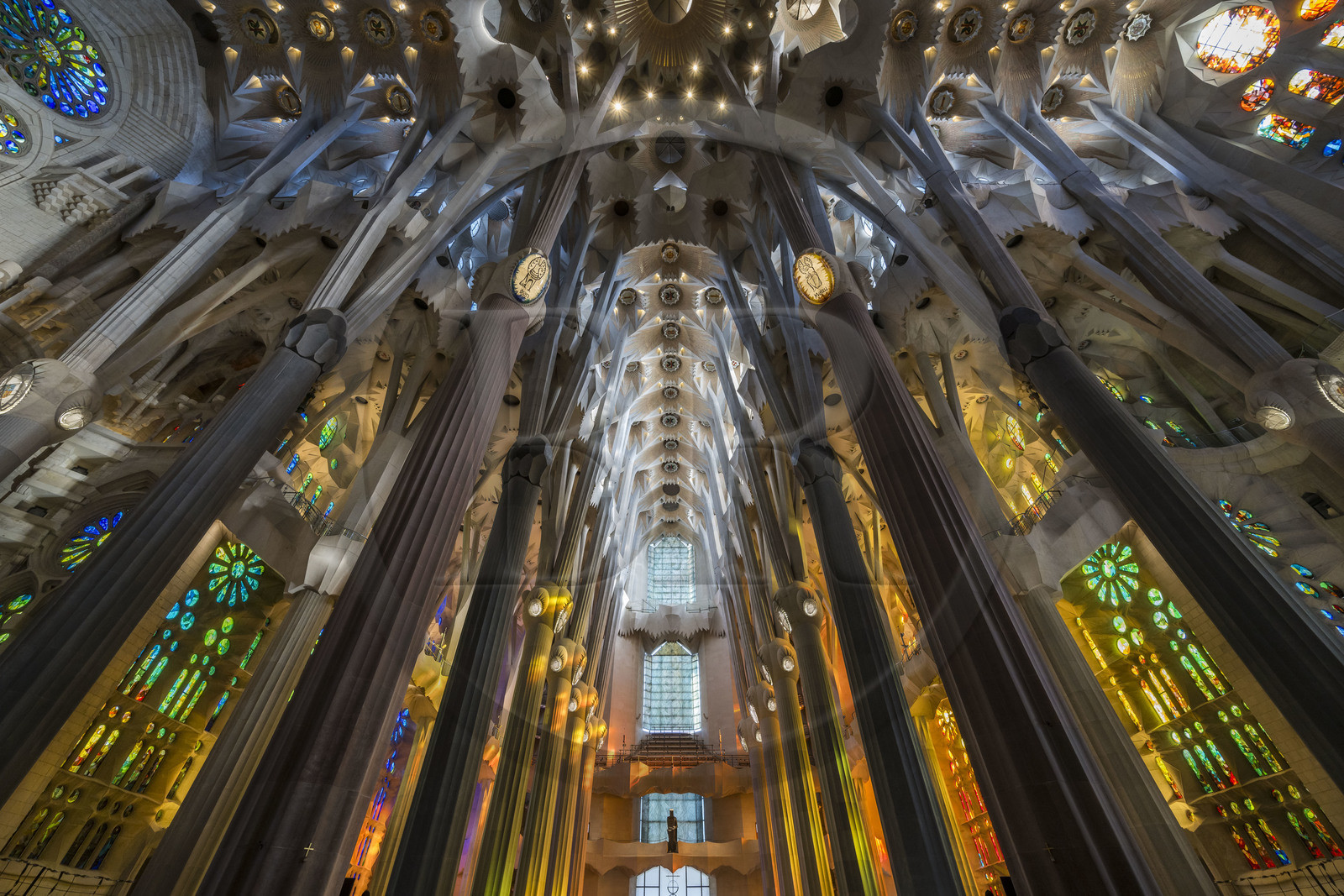 Espagne, Catalogne, Barcelone, quartier de l'Eixample, basilique de la Sagrada Familia de l'architecte du modernisme catalan Antoni Gaudi classée Patrimoine Mondial de l'UNESCO, la facade de la Gloire vue de l'intérieur et la voute de la Nef en haut
