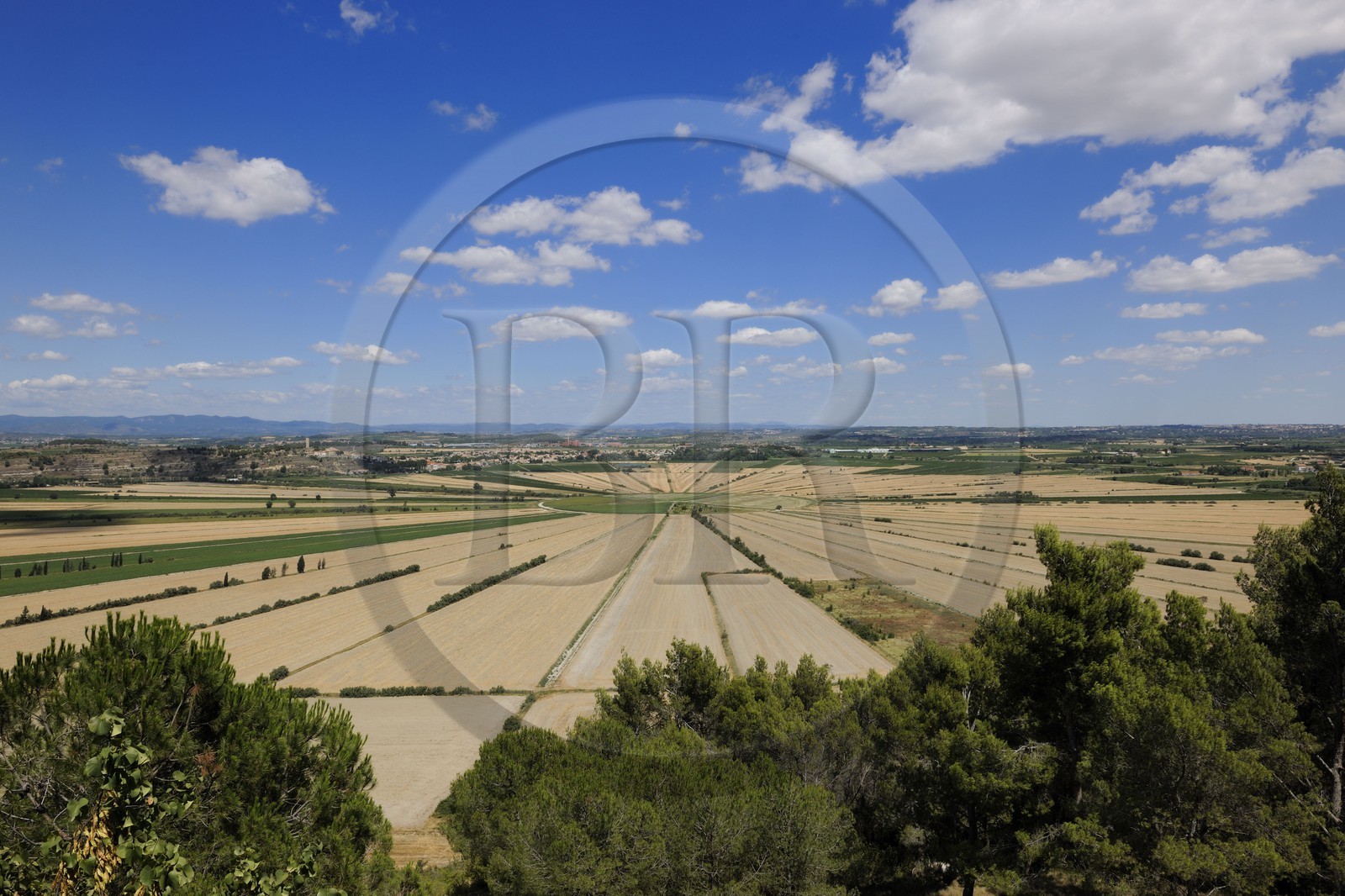 France, Hérault (34), l'ancien étang de Montady asséché depuis 1247