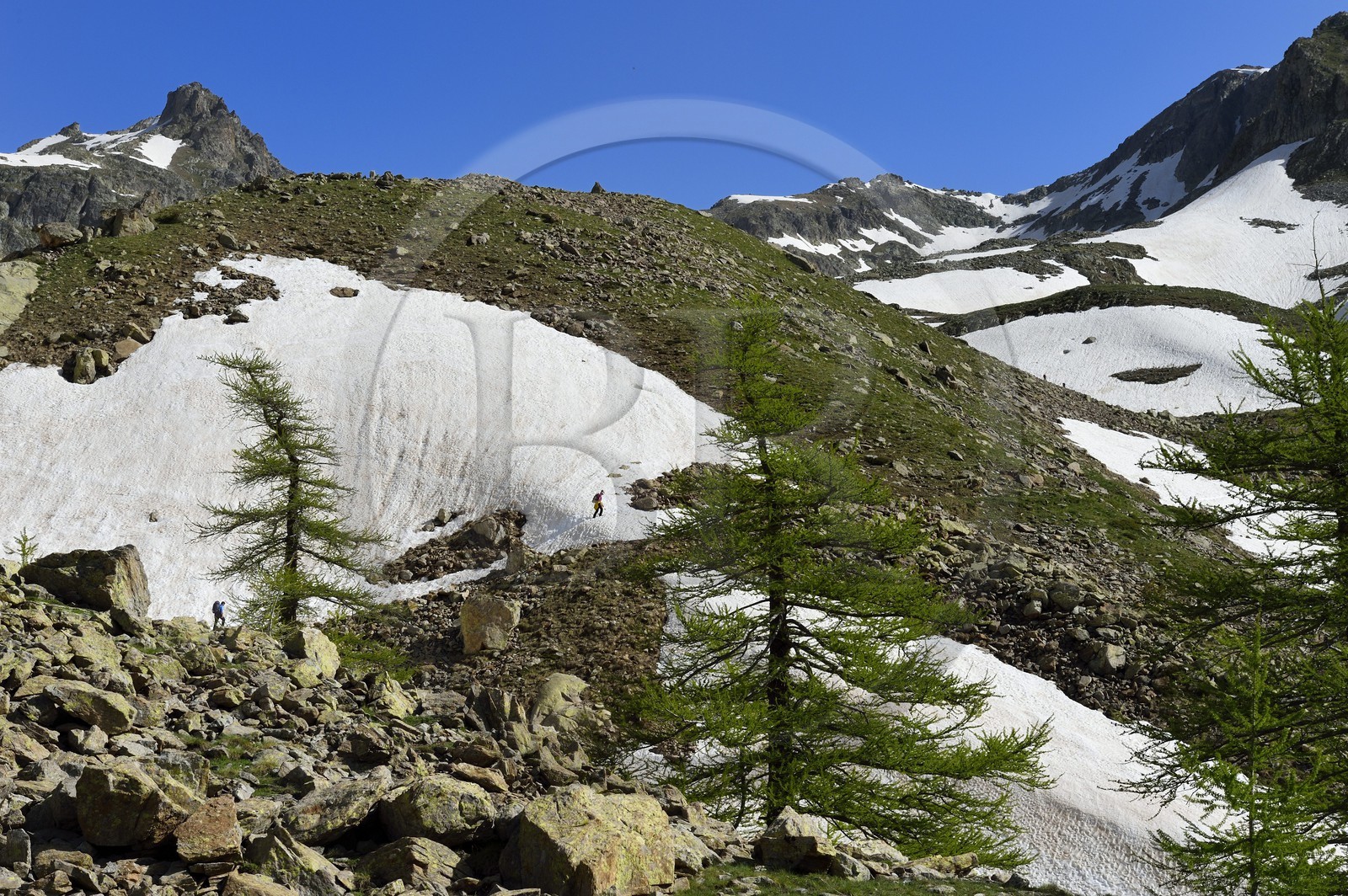 France, Alpes-Maritimes (06), parc national du Mercantour, Haute-Vésubie, randonnée dans le vallon de la Madone de Fenestre, franchissement d'un névé