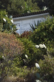 France, Alpes-Maritimes (06), Roquebrune-Cap-Martin, Cap Martin, cabanon Le Corbusier de 1952, atelier de travail du cabanon (Demande d'autorisation nécessaire avant publication)