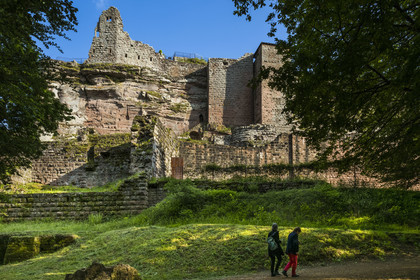 France, Bas-Rhin (67), Parc naturel régional des Vosges du Nord, Lembach, ruines du chateau de Fleckenstein