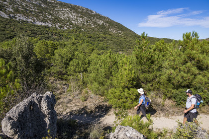 France, Hérault (34), Causses et les Cévennes, paysage culturel de l'agro-pastoralisme méditerranéen, classés Patrimoine Mondial de l'UNESCO, Saint-Guilhem-le-Désert, labellisé Les Plus Beaux Villages de France, randonneurs sur la Via Tolosana sur le Chemin de Saint-Jacques-de-Compostelle au Ravin de la Côte