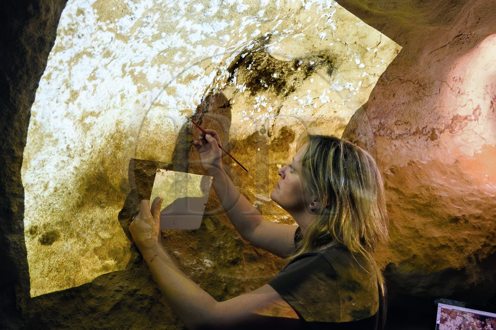 France, Dordogne (24), Montignac, l’Atelier des Fac-Similés du Périgord (AFSP) spécialisé dans la reproduction minérale de parois ornées de la préhistoire et en charge de la reconstitution fidèle des parois de la grotte de Lascaux, reproductions des peintures par la peintre-copiste Beth O’Reilly, mention obligatoire Atelier des Fac-Similés du Périgord