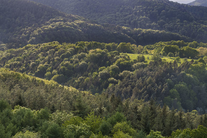 France, Bas-Rhin (67), Parc naturel régional des Vosges du Nord, Lembach, foret domaniale de Steinbach et la frontière franco-allemande au creux de la vallée