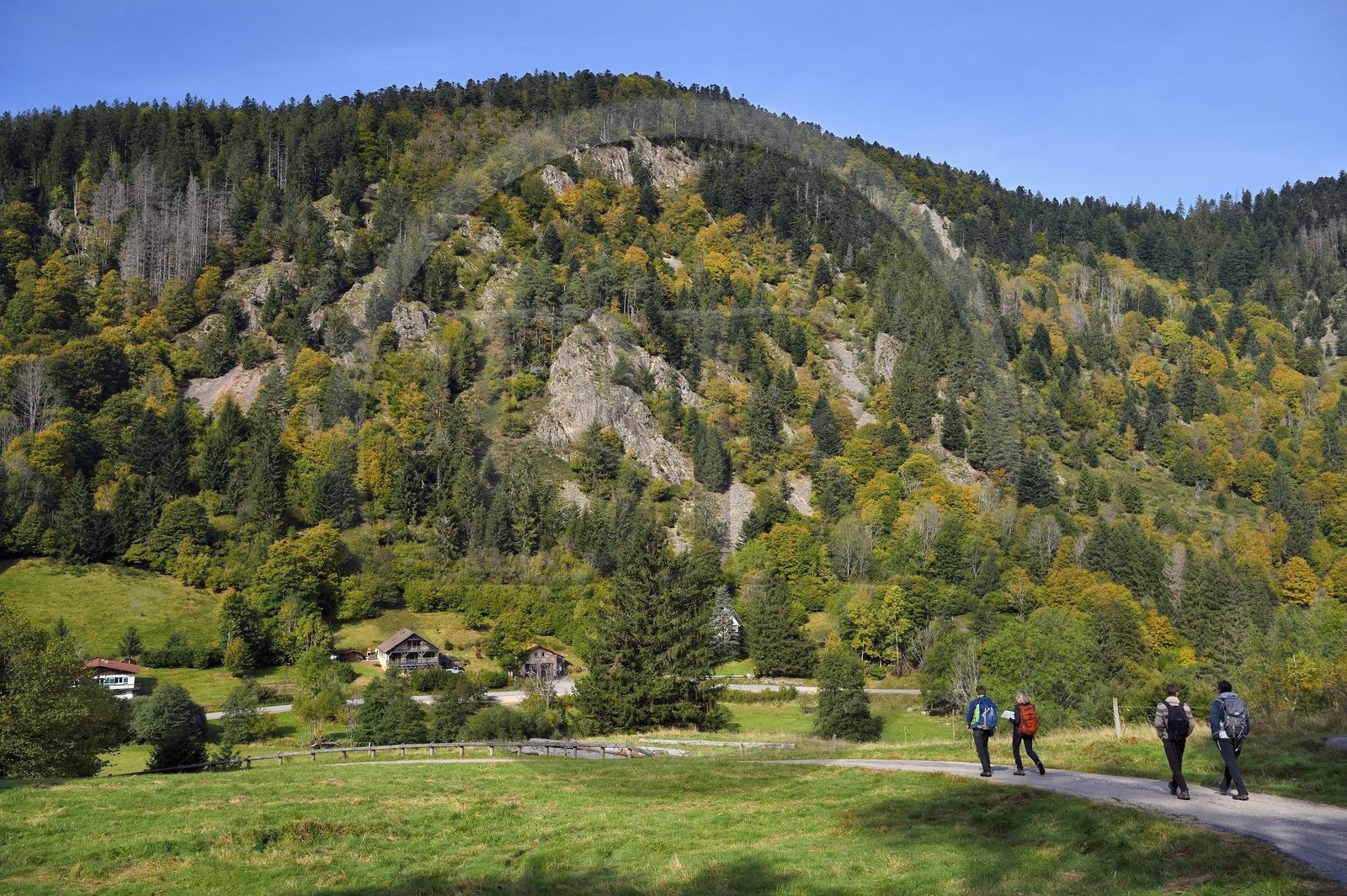 France, Vosges (88), Le Valtin, randonnée dans la vallée du Valtin dans la haute-vallée de la Meurthe
