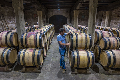 France, Côte-d'Or (21), Paysage culturel des climats de Bourgogne classés Patrimoine Mondial de l'UNESCO, Route des Grands Crus, vignoble de la Côte de Nuits, Gevrey-Chambertin, Domaine Dugat, Bertrand Dugat dans l'ancien Cellier des Dimes des évêques de Langres où il entrepose ses tonneaux vides ou juste après les vendanges